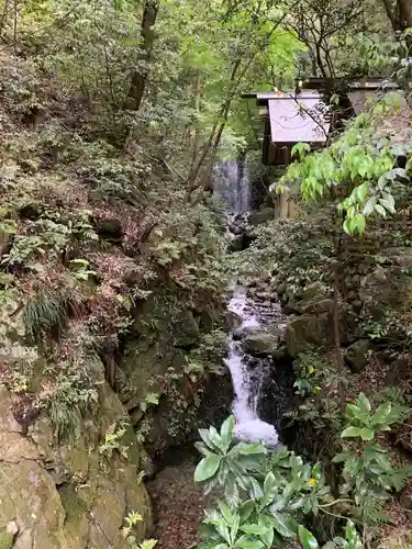 多度大社の自然