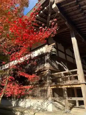 横蔵寺(岐阜県)