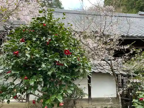 十輪寺(京都府)