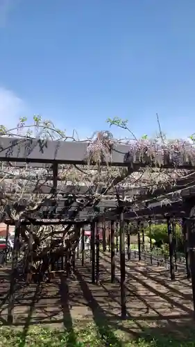 相馬神社(北海道)