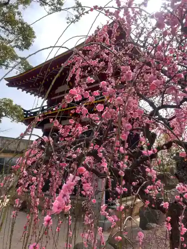 防府天満宮の{uncategorized: "未分類", other: "その他", undefined: "問題あり", building: "その他建物", grave: "お墓", sacred_gate: "鳥居", guardian: "狛犬", statue: "像", buddha: "仏像", history: "歴史", nature: "自然", garden: "庭園", animal: "動物", pagoda: "塔", temizu: "手水舎", mountain_gate: "山門・神門", sanctuary: "本殿・本堂", subordinate: "末社・摂社", art: "芸術", scenery: "景色", jizo: "地蔵", ema: "絵馬", goshuin: "御朱印", omikuji: "おみくじ", items: "授与品その他", amulet: "お守り", goshuincho: "御朱印帳", eats: "食事", festival: "お祭り", votive_dance: "神楽", shichigosan: "七五三参", wedding: "結婚式", experience: "体験その他", initially: "初詣", around: "周辺", anti_infection: "感染症対策"}