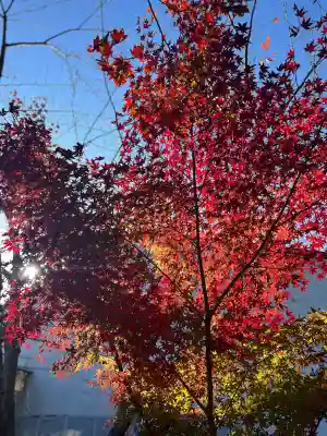 善水寺(滋賀県)