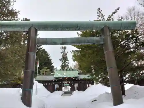 琴似神社の鳥居