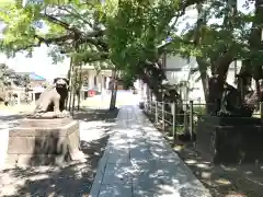 豊受神社の狛犬