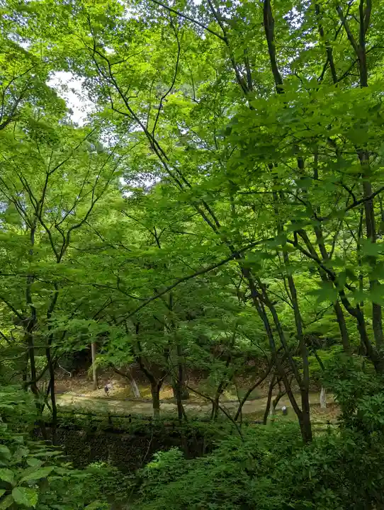 北野天満宮(京都府)
