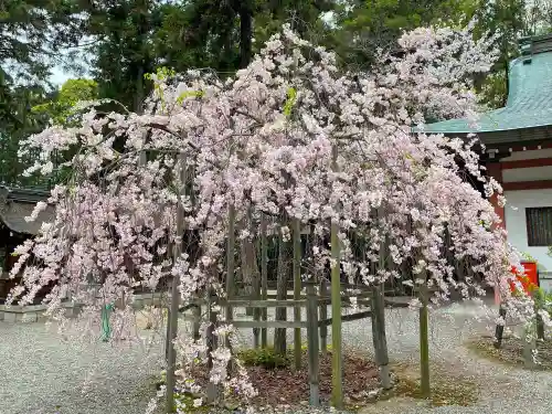 建部大社の自然