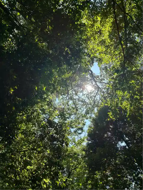 サムハラ神社 奥の宮(岡山県)