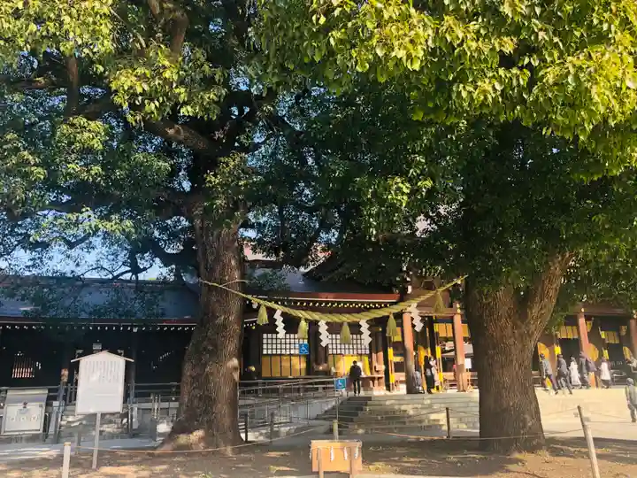 明治神宮の自然