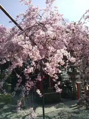 水火天満宮の自然