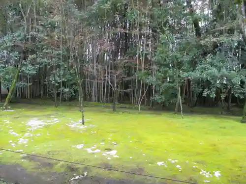 高桐院(京都府)