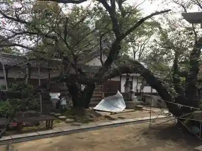 聖天山正圓寺のその他建物