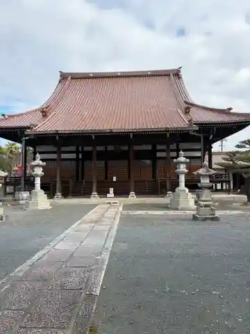 教善寺の{uncategorized: "未分類", other: "その他", undefined: "問題あり", building: "その他建物", grave: "お墓", sacred_gate: "鳥居", guardian: "狛犬", statue: "像", buddha: "仏像", history: "歴史", nature: "自然", garden: "庭園", animal: "動物", pagoda: "塔", temizu: "手水舎", mountain_gate: "山門・神門", sanctuary: "本殿・本堂", subordinate: "末社・摂社", art: "芸術", scenery: "景色", jizo: "地蔵", ema: "絵馬", goshuin: "御朱印", omikuji: "おみくじ", items: "授与品その他", amulet: "お守り", goshuincho: "御朱印帳", eats: "食事", festival: "お祭り", votive_dance: "神楽", shichigosan: "七五三参", wedding: "結婚式", experience: "体験その他", initially: "初詣", around: "周辺", anti_infection: "感染症対策"}
