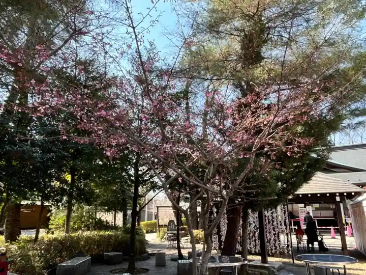櫻木神社(千葉県)