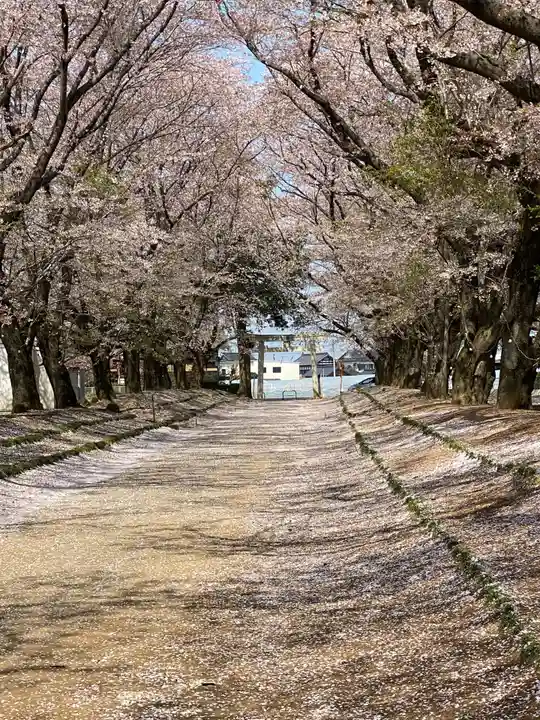 東蕗田天満社の自然