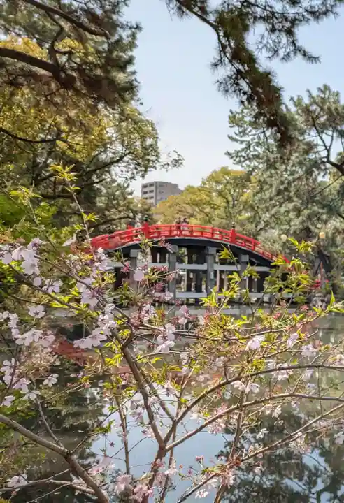 住吉大社(大阪府)