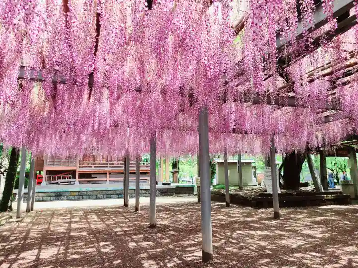 天満神社の自然