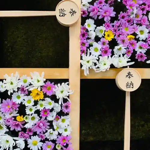 土津神社｜こどもと出世の神さまの手水舎