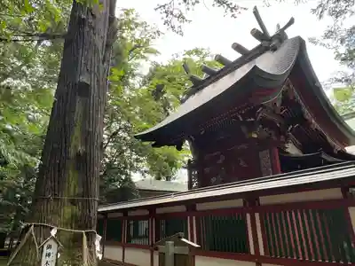 一言主神社(茨城県)