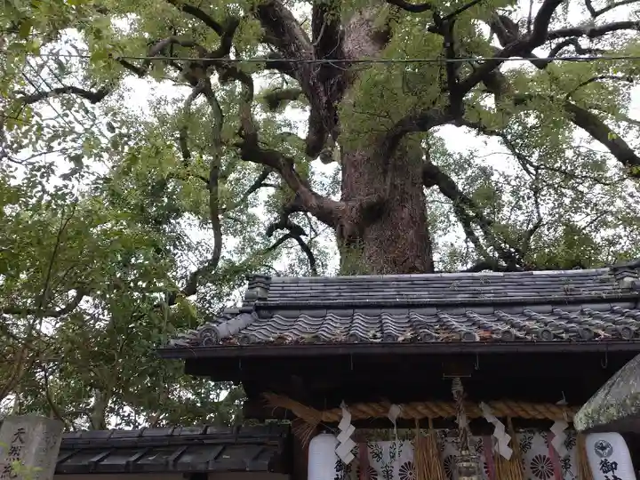 新熊野神社(京都府)