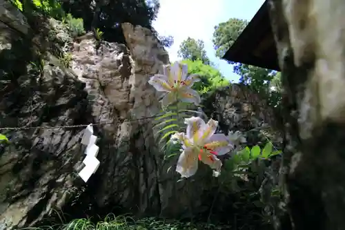 鹿島大神宮の庭園