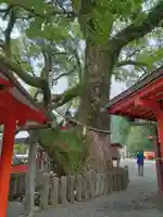 熊野那智大社(和歌山県)