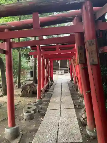 中野原稲荷神社の鳥居