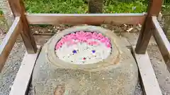 大井神社(京都府)