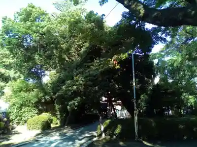 栽松院(宮城県)