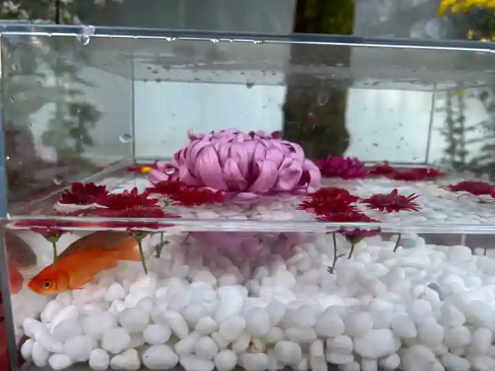 笠間稲荷神社(茨城県)