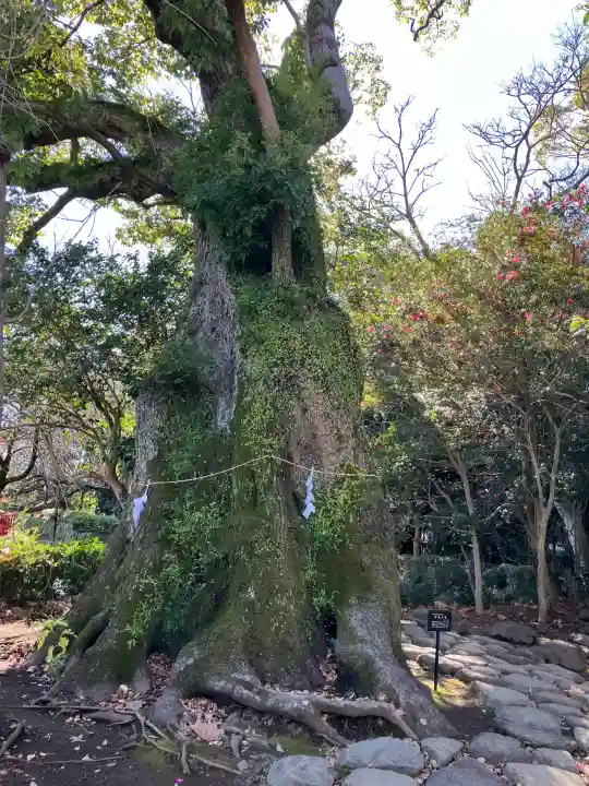 三嶋大社(静岡県)