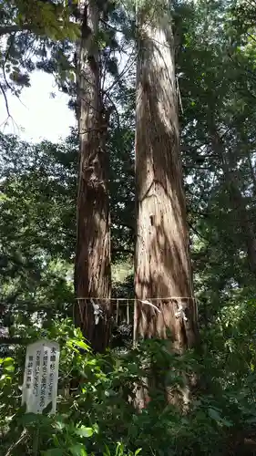 側高神社の自然