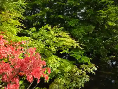 田出宇賀神社(福島県)