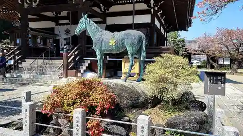 橘寺の狛犬