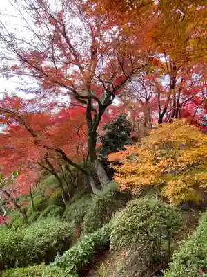 華厳寺(鈴虫寺)(京都府)