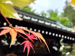 照光寺(長野県)