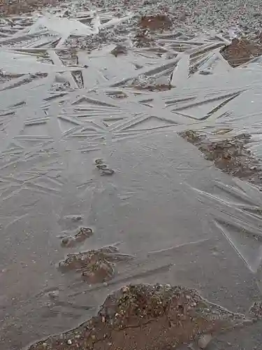 伏木香取神社の自然