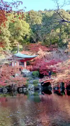 醍醐寺(京都府)