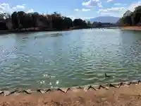 長山稲荷社(橿原神宮末社)の自然