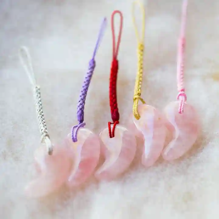 諫早神社(九州総守護 四面宮)のお守り