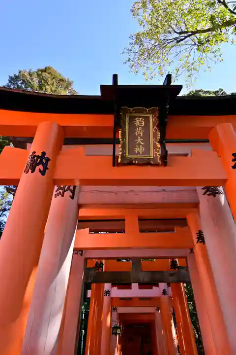 伏見稲荷大社の鳥居