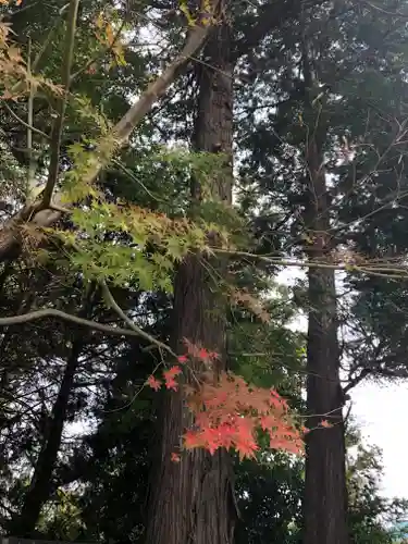 伏木香取神社の自然