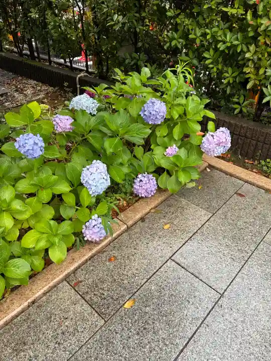 桜神宮(東京都)