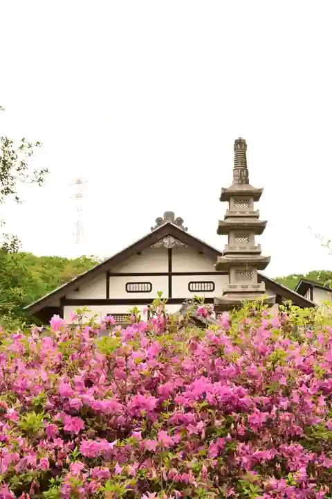 長泉寺(埼玉県)