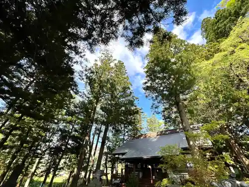 山家神社の自然