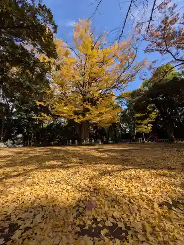 赤坂氷川神社(東京都)