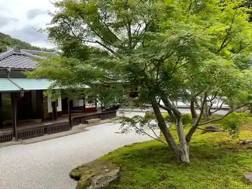 長壽寺（長寿寺）の庭園