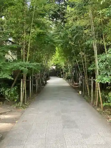 來宮神社(静岡県)