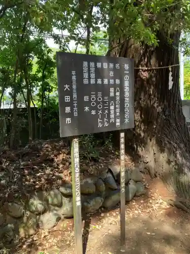 福原八幡宮(栃木県)
