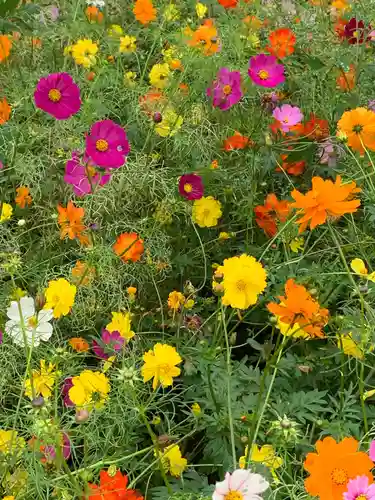 布施弁天 東海寺の自然