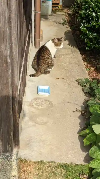 乗願寺(京都府)